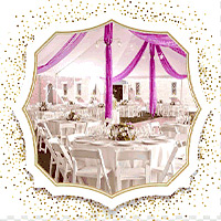 ظروف کرایه عامری